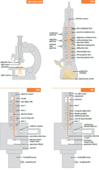 Gambar 3.1 Perbandingan Mikroskop Optik, TEM, SEM dan FIB (Focused Ion Beam)  (Sumber : an Introduction to Electron Microscopy, FEI) 