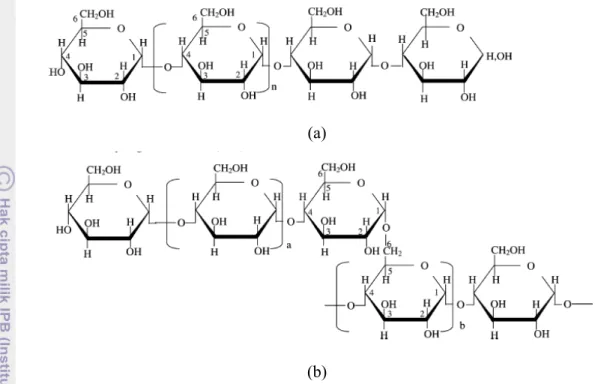Gambar 3 Struktur kimia amilosa (a); amilopektin (b). 