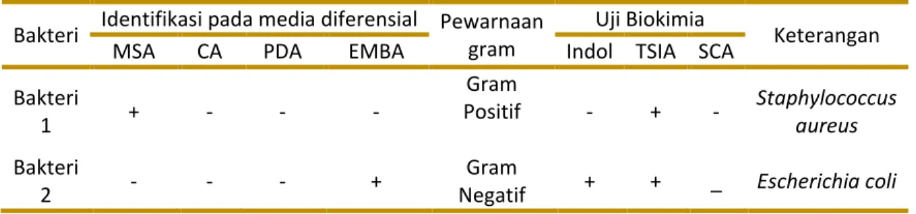 Tabel 5. Identifikasi Bakteri pada Sampel Lipstik Cair. 