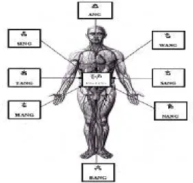 Gambar 1. Penempatan Aksara Suci  dalam tubuh manusia 