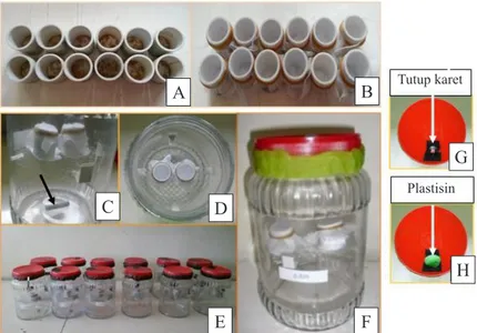 Gambar 1. Alat penghasil gas fosfin murni dari formulasi pelet aluminium fosfida, apparatus for generating  phosphine
