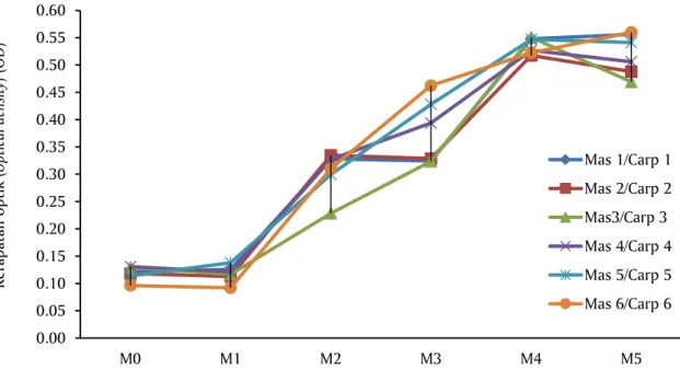 Gambar 1. Respons antibodi anti A. hydrophila tiap minggu, nilai cut off ELISA = 0,144 Figure 1