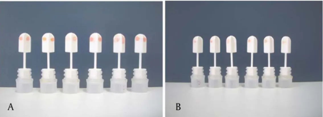 Figure 3. Illustrations of ELISA methode and immunostick to detect an- an-tibody anti A