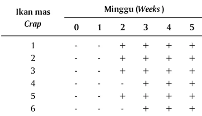 Table 1. Imunostick test in carp serum