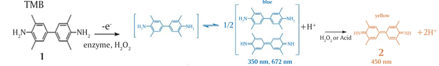 Gambar 5. Reaksi TMB dan peroksidase pada metode ELISA Figure 5. Reaction of TMB and peroksidase in ELISA methode