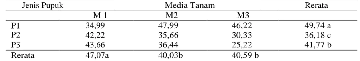Tabel 8. Pengaruh pupuk majemuk dan media tanam terhadap panjang akar  tanaman   tomat (cm) 