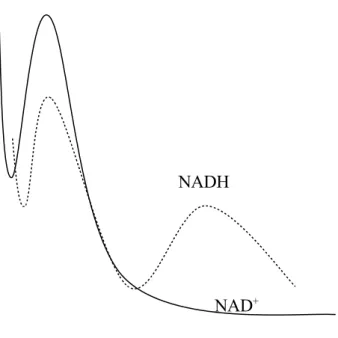 Gambar : Spektrum Absopsi NAD +  dan NADH. Densitas yang tampak di sini adalah  untuk 44 Mg/L, larutan di dalam sebuah sel dengan lintasan cahaya 1 cm NADP +  mempunyai spectrum yangmasing-masing analog dengan spectrum NAD +  dan NADH.