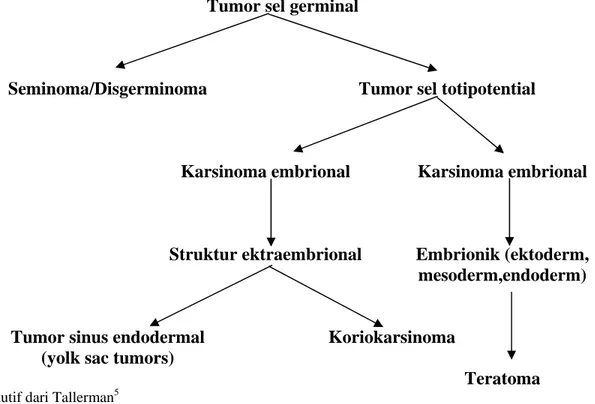 Gambar 1. Klasifikasi tumor sel germinal ovarium menurut asal tumor  