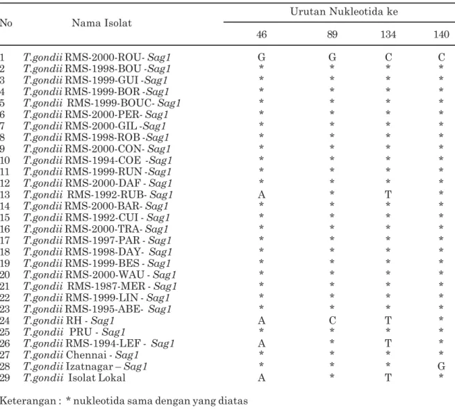 Tabel 1.Asam nukleat polimorfik gen sag1 Toxoplasma gondii isolat lokal dibandingkan dengan isolat yang diperoleh di GeneBank