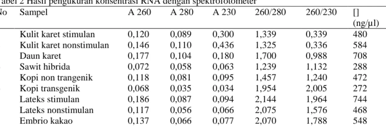 Tabel 2 Hasil pengukuran konsentrasi RNA dengan spektrofotometer