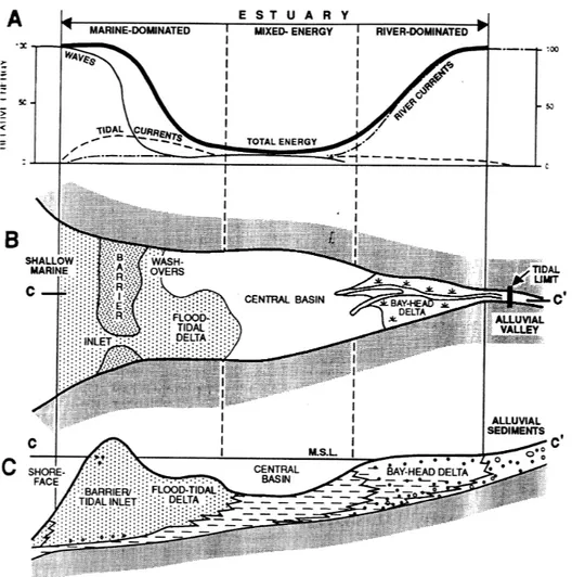 Gambar VII.31 Skema system lingkungan pengendapan estuarin  yang sangat dipengaruhi gelombang (Dalrymple, 1992)