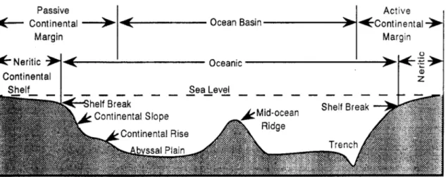 Gambar VII.34 Skema penampang lingkungan pengendapan laut  (Boggs, 1995)