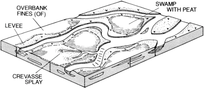 Gambar VII.6 Morfologi sungai teranyam