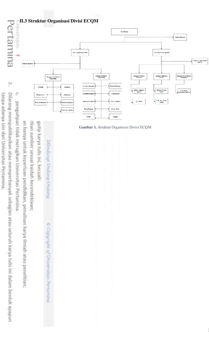 Gambar 1. Struktur Organisasi Divisi ECQM 