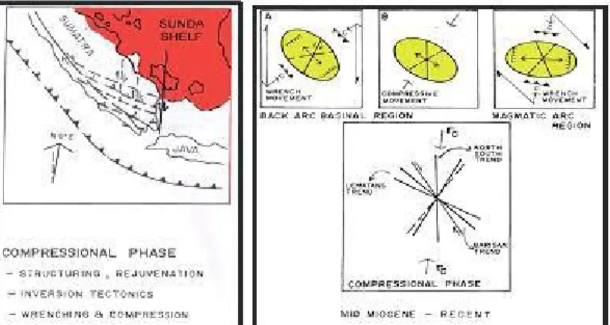 Gambar 5. Fase Kompresi Miosen Tengah Sampai Sekarang dan Elipsoid Model (Pulonggono  dkk, 1992).