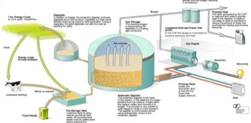 Gambar 1. Skema Instalasi Reaktor Biogas (Elizabeth, 1982) 