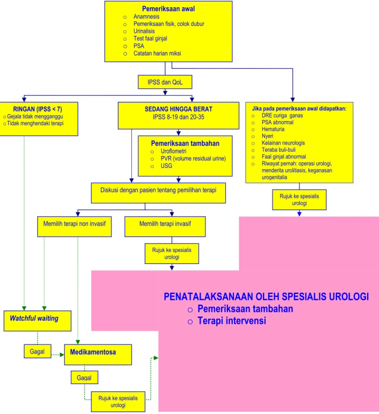 Gambar 1: Skema pengelolaan BPH di Indonesia untuk dokter umum dan spesialis non urologi