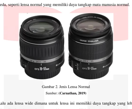Gambar 2. Jenis Lensa Normal  Sumber: (Carnathan, 2019) 
