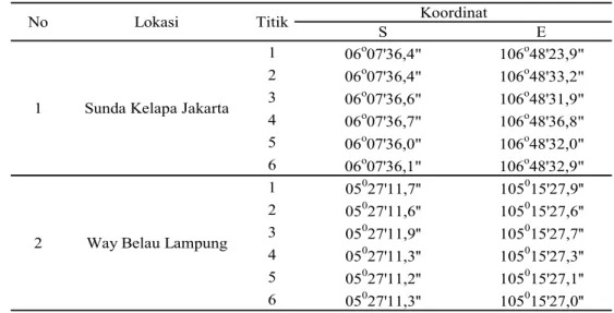 Tabel 1 Lokasi dan titik koordinat tempat pengambilan koleksi Namalycastis di  Sunda Kelapa dan Way Belau 