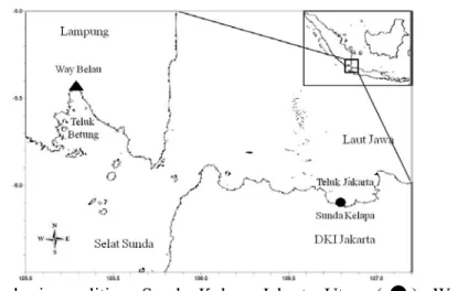 Gambar 2 Lokasi penelitian. Sunda Kelapa Jakarta Utara (   ), Way Belau  Lampung  (    ), insert Pulau Jawa dan Sumatra Indonesia