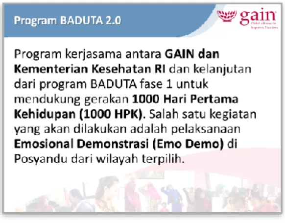 Gambar 4. Slide program BADUTA 2.0 