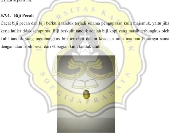 Gambar 6. Kerusakan Biji Pecah 