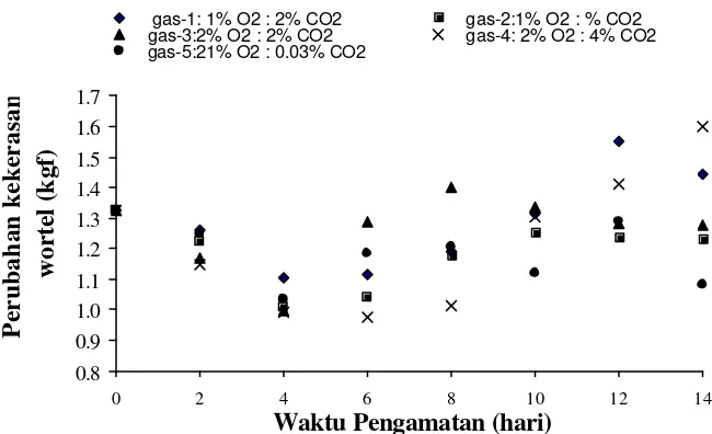 Gambar 15  Perubahan kekerasan irisan wortel (W2) pada berbagai komposisi                       gas selama penyimpanan pada suhu 5 oC
