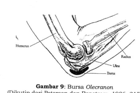 Gambar 9:  B u r s a Olecranon 