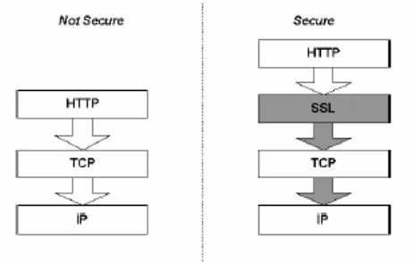 Gambar 2.4 Posisi TLS pada layer-layer protokol IP 