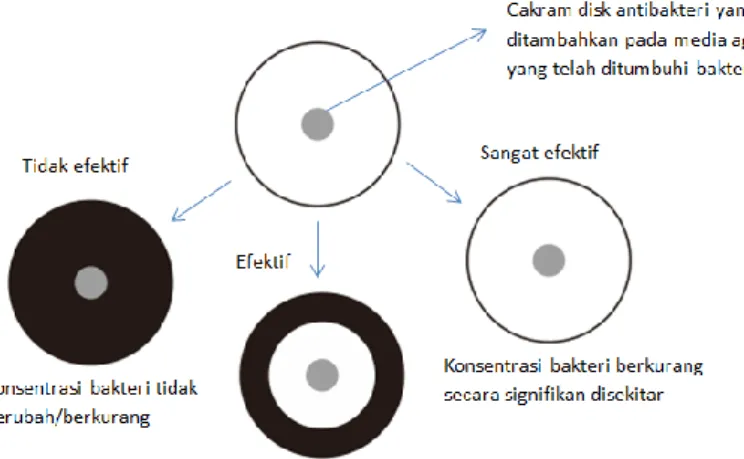 Gambar 11. Metode disk diffution 