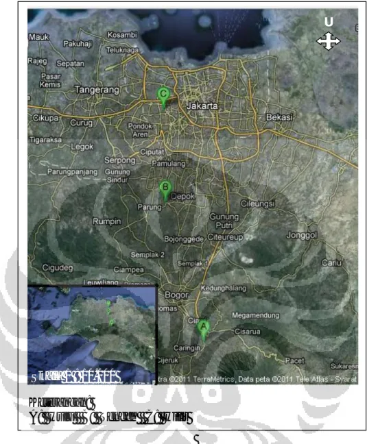 Gambar 3.4.1.1 Peta Lokasi Sampling dari Hulu--Hilir Sungai Pesanggrahan        [Sumber: Google Earth 2011: 1]