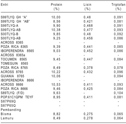 Tabel 12. Kandungan protein, lisin, dan triptofan beberapa entri jagung QPM.