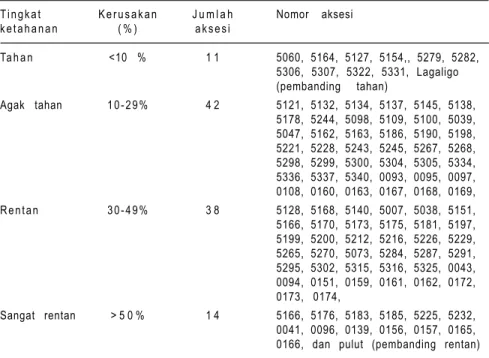 Tabel 5. Tingkat ketahanan 105 aksesi jagung terhadap penyakit bulai. Maros, 2004/05.
