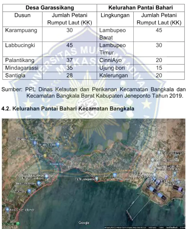 Tabel  5:  Jumlah  Petani  Rumput  Laut  di  Desa  Garassikang  Kecamatan  Bangkala  dan  Kelurahan  Pantai  Bahari  Kecamatan  Bangkala  Barat Kabupaten Jeneponto