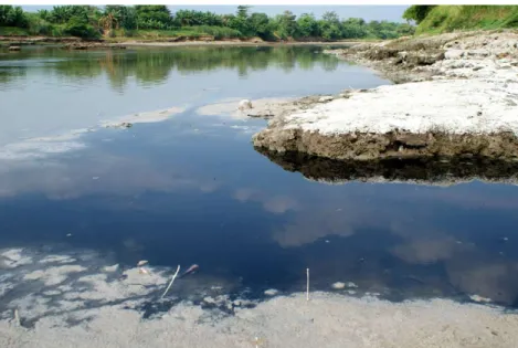 Gambar 5. Sungai Porong di Kabupaten Mojokerto yang Tercemar Limbah Pabrik Kertas (Sumber: http://www.mongabay.co.id, 2019)