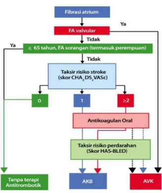 Gambar 2. Terapi Antitrombolitik pada AF 