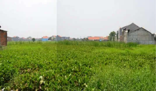 Gambar 5.5. Alih fungsi Lahan Dataran Rawa di Cilincing – Jakarta Utara 
