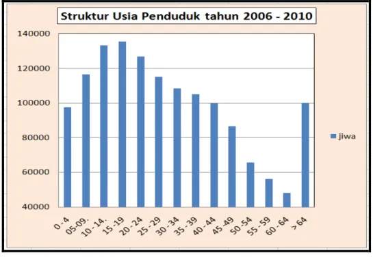 Grafik Struktur Penduduk Menurut Usia Tahun 2006-2010