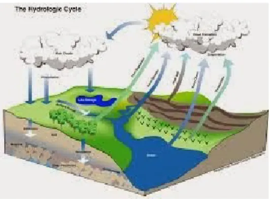 Gambar 1.1 Siklus Hidrologi