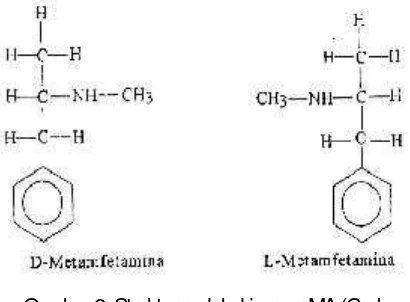 Gambar 2. Struktur molekul isomer MA (Cody,