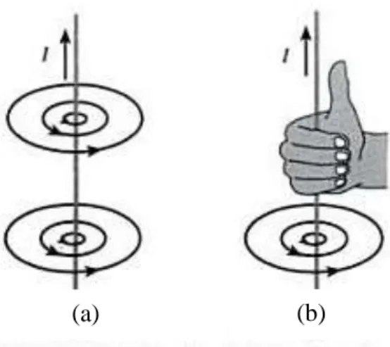 Gambar 2. (a) Garis-garis medan magnet di sekitar arus listrik pada kawat lurus. (b)  Kaidah tangan kanan untuk mengingat arah medan magnet, yaitu ketika  ibu  jari  menunjuk  arah  arus  konvensional,  maka  jari-jari  lain  yang  menggenggam kawat menunj