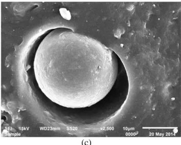 Gambar  3.6  (a),  (b)  dan  (c)  Micrograph  SEM  Thermoset  Rubber  dengan  Suhu  dan  Tekanan  vulkanisasi 150 °C dan 150 kgf/cm 2 