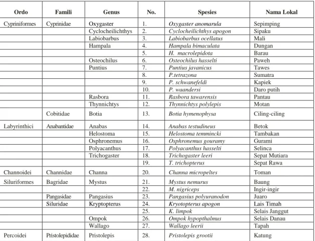 Tabel 1. Jenis dan Klasifikasi Ikan di Oxbow Pinang Dalam. 