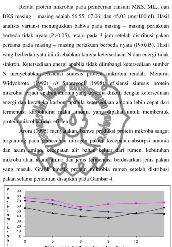 Gambar 4. Grafik kinetik protein mikrobia rumen setelah distribusi pakan 
