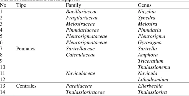 Tabel 3. Klasifikasi Diatom Epipelik 