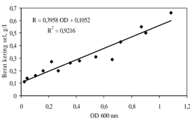 Gambar 2. Grafik standar konsentrasi berat kering sel  untuk berbagai nilai OD pada panjang gelombang 600 