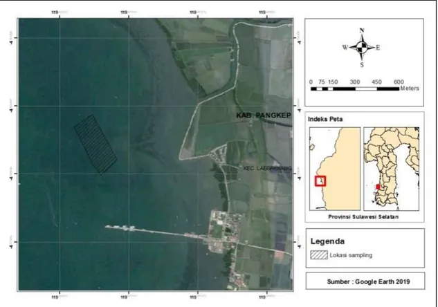 Gambar  1. Peta  lokasi  pengambilan  sampel  kerang  hijau  Perna  viridis  di  Perairan  Maccini  Baji,  Kecamatan  Labakkang,  Kabupaten  Pangkajene Kepulauan.