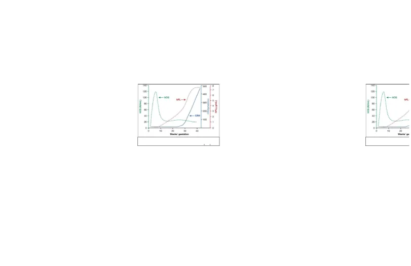 GAMBAR 1: Graf diatas menunjukkan level hormon y ang dihasilkan plasenta mengikut usia gestasi.