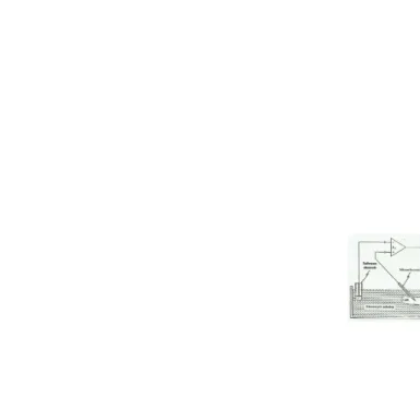 Gambar 19. Mikroelektroda EKG tang mengukur potensial seluler.