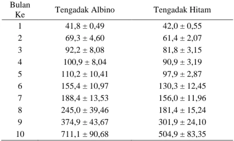 Tabel 4. Sintasan ikan tengadak albino dan hitam selama pemeliharaan  
